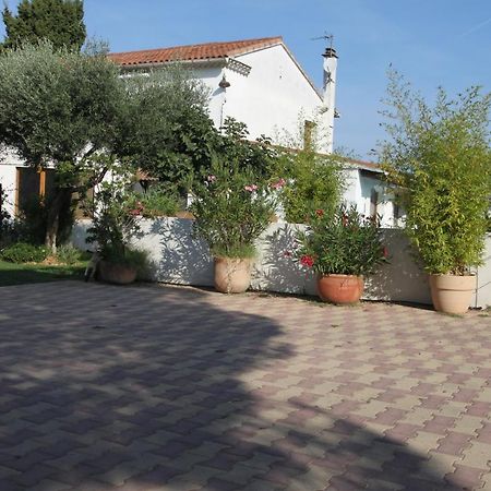 Site Machambreencamargue Vauvert Esterno foto